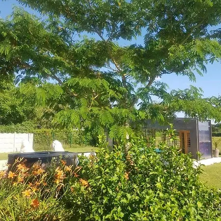 Villa Elegante A Saint Clair-d'arcey Avec Piscine Privee *